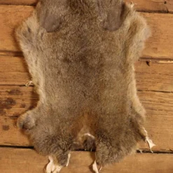 Rabbit Fur