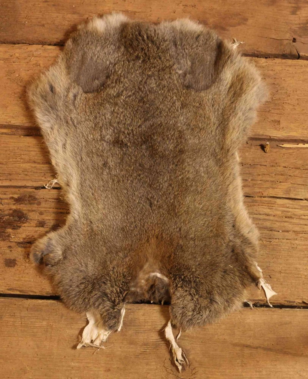 Rabbit Fur 3 Rabbit Fur