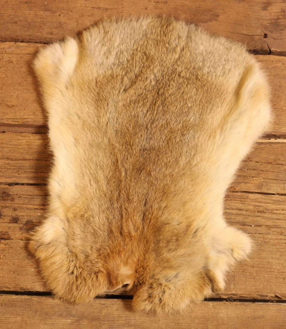 Rabbit Fur 4 Rabbit Fur - Image 2