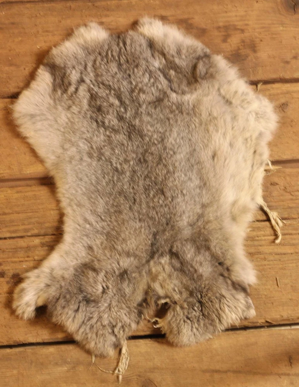 Rabbit Fur 5 Rabbit Fur - Image 3