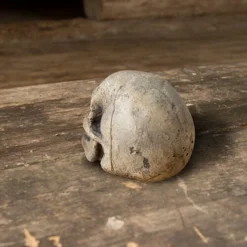 Small Skull - Bone -Larp Fashion Shop kleiner schaedel aus knochen if 432304 3 1280x1280