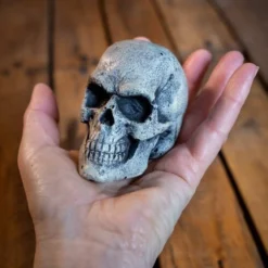 Small Skull - Bone -Larp Fashion Shop kleiner schaedel aus knochen if 432304 4 1280x1280