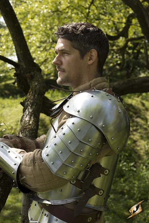 Shoulder Plates Warrior 4 Shoulder Plates Warrior - Image 2