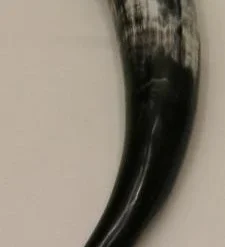 Drinking Horn 400ml