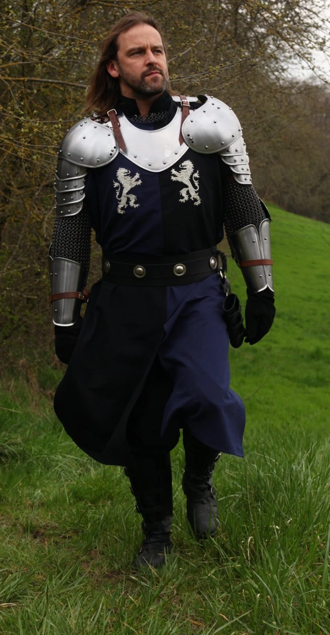 Surcoat With Coat Of Arms, Silver Lions Embroidery 3 Surcoat With Coat Of Arms, Silver Lions Embroidery